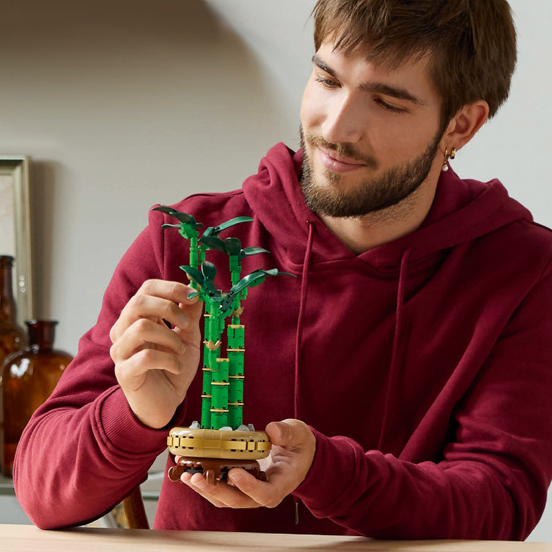 Đồ Chơi Lắp Ráp Cây Thần Tài May Mắn LEGO BOTANICALS 10344 (325 chi tiết) - ảnh 6