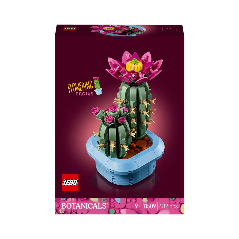 Đồ Chơi Lắp Ráp Xương Rồng Nở Hoa LEGO BOTANICALS 11509 (482 Chi Tiết) - ảnh 2
